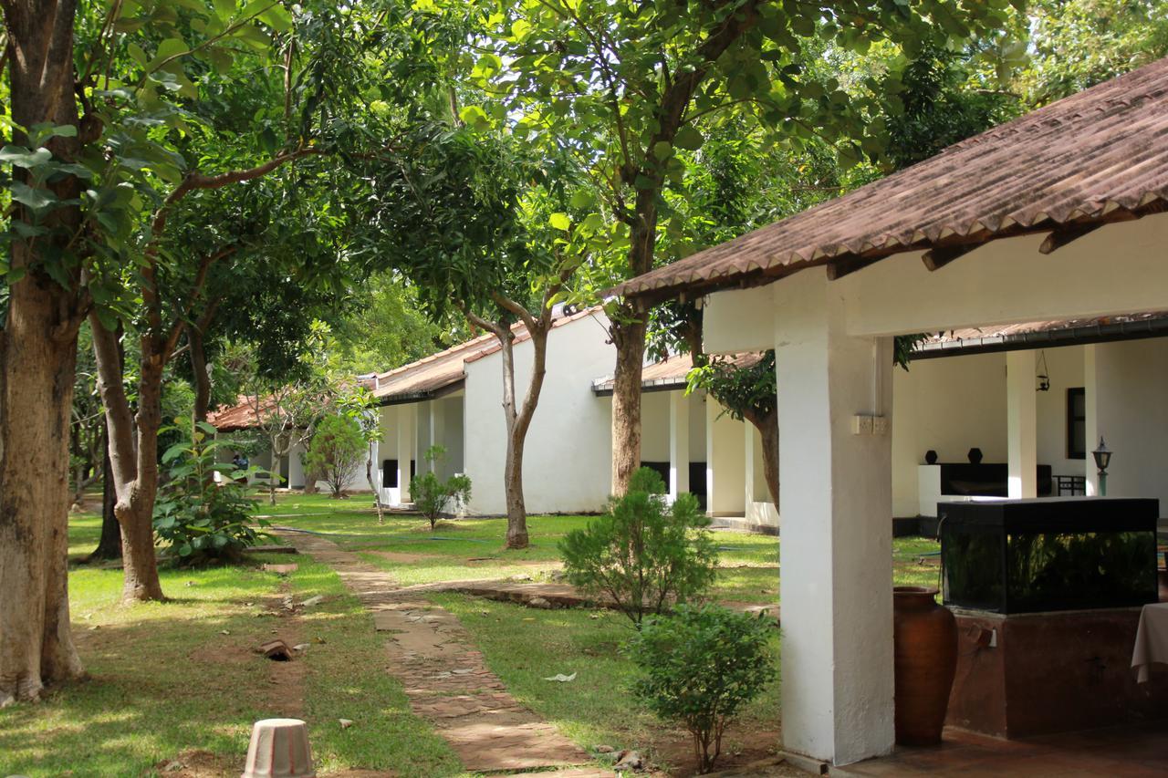 Dambulu Oya Family Park Hotel Dambulla Exterior photo