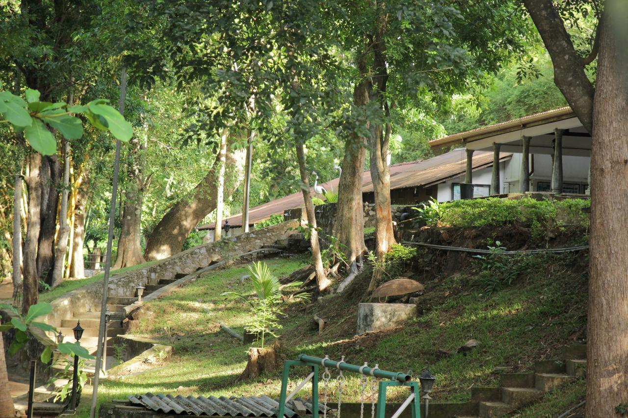 Dambulu Oya Family Park Hotel Dambulla Exterior photo
