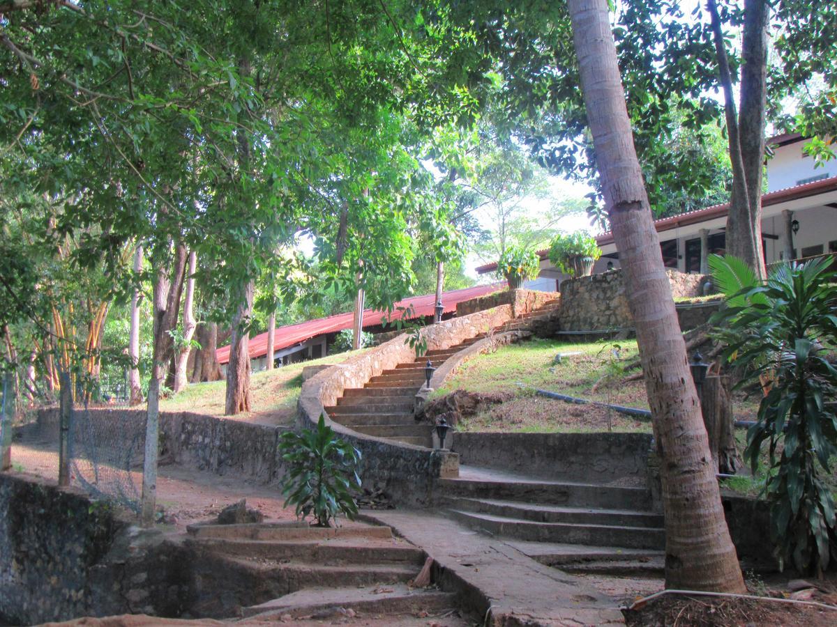 Dambulu Oya Family Park Hotel Dambulla Exterior photo