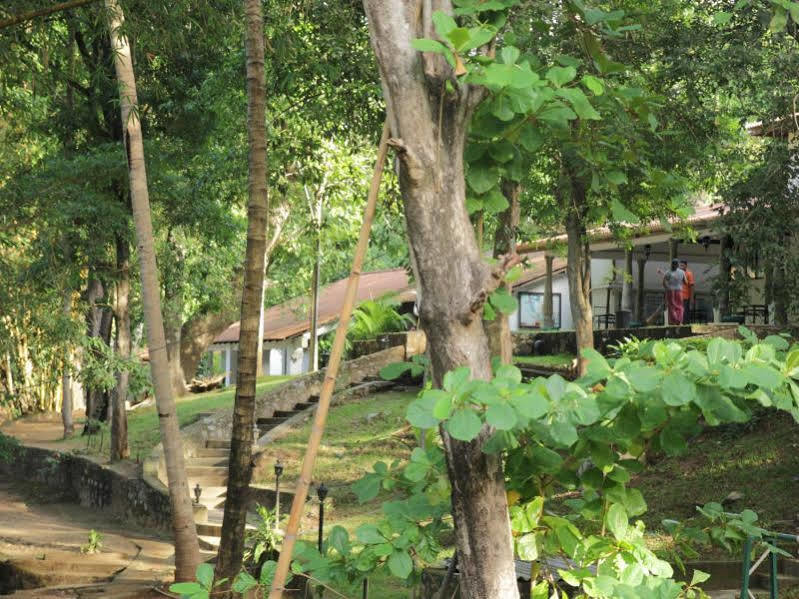 Dambulu Oya Family Park Hotel Dambulla Exterior photo