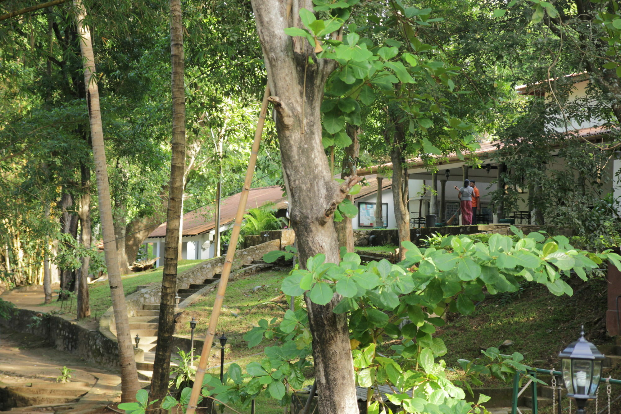 Dambulu Oya Family Park Hotel Dambulla Exterior photo
